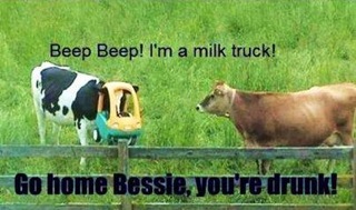 joke1173872_683539768341647_5175301_n